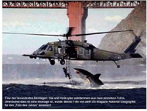 Bild 3: Hai und Helicopter, Montage, Nomination zum Foto des Jahres bei National Geographics