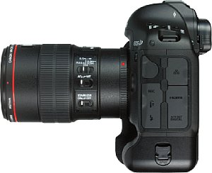 Canon EOS-1D X mit 100 mm Macro IS USM [Foto: MediaNord]