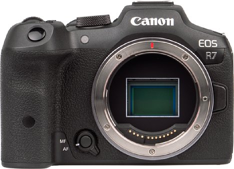 Canon EOS R7 im Test APS-C-Traum