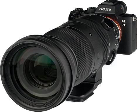 Bild Die Sony Alpha 7 III wirkt am Sigma 60-600 mm F4.5-6.3 DG DN OS Sports zierlich. [Foto: MediaNord]