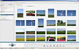 Picasa 2.7 – Programmoberfläche mit Ordnern und Alben [Foto: Ronny Lauer]
