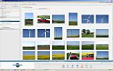 Picasa 2.7 – Programmoberfläche mit Ordnern und Alben [Foto: Ronny Lauer]