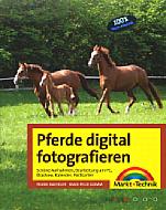 Pferde digital fotografieren