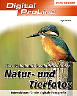 Das Geheimnis beeindruckender Natur- und Tierfotos