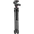 Manfrotto MK290XTC3-3W 290 Xtra Kit, Carbon-Stativ mit 3 Segmenten, 3-Wege-Neiger