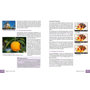 Bildner Sony Alpha 7R VI – Das umfangreiche Praxisbuch zu Ihrer Kamera (PDF-E-Book)
