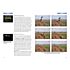 Point of Sale Lumix GX7 – System Fotoschule