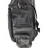 Lowepro Transit Sling 250 AW