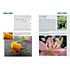 Point of Sale Lumix FZ300 – Superzoom Fotoschule (PDF-E-Book)
