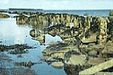 Altes Bollwerk auf Helgoland [Foto: Jürgen Rauteberg]