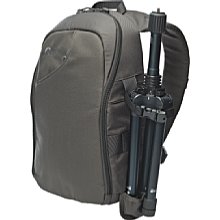 Lowepro Transit Sling 250 AW