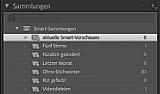 Diese Smart-Sammlungen werden automatisch bei der Installation von Lightroom erstellt. [Foto: Ernst Ulrich Soja]