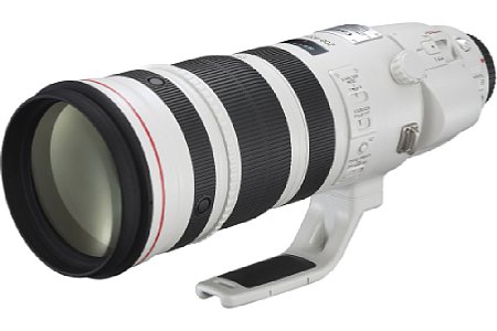 EF 200-400 mm f4 L IS USM Extender 1.4x [Foto: Canon]