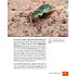 Bildner Panasonic Lumix DC-S5II / S5II X – Das umfangreiche Praxisbuch (PDF-E-Book)