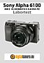 Sony Alpha 6100 mit E 16-50 mm F3.5-5.6 OSS PZ (SELP1650) Labortest (Labortest-Protokoll)