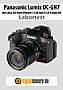 Panasonic Lumix DC-GH7 mit Leica DG Vario-Elmarit 12-60 mm F2.8-4 Asph Power OIS (H-ES12060) Labortest (Labortest-Protokoll)