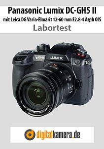 Panasonic Lumix DC-GH5 II mit Leica DG Vario-Elmarit 12-60 mm F2.8-4 Asph Power OIS Labortest, Seite 1 [Foto: MediaNord]