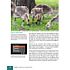 Bildner Sony Alpha 7 IV – Das umfangreiche Praxisbuch (PDF-E-Book)