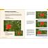 Rheinwerk Photoshop Elements 12 – Schritt für Schritt zum perfekten Foto