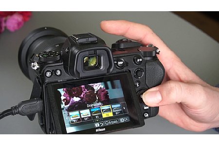 Nikon Z Schulungsvideo mit Manuel Quarta - Perfekte Kontraste. [Foto: MediaNord]