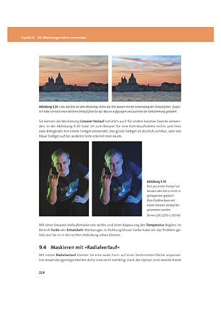 Luminar Neo - Das umfassende Praxishandbuch: 9783832805227: Books 