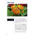 Point of Sale Panasonic Lumix TZ101 – Das Buch zur Kamera (PDF-E-Book)