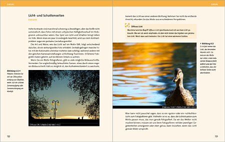 Vierfarben Lumix Fz300 Das Handbuch Zur Kamera Gedrucktes Buch Auf Digitalkamera De