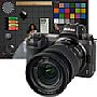 Nikon Z 6 mit Z 24-70 mm F4 S Testbilder