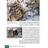 Bildner Panasonic Lumix DC-S5II / S5II X – Das umfangreiche Praxisbuch (PDF-E-Book)