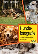 Hundefotografie – Perfekte Hundeaufnahmen leicht gemacht