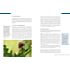 Rheinwerk Canon EOS 650D – Das Kamerahandbuch