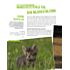 Franzis Meine Katze (PDF-E-Book)