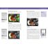 Rheinwerk Adobe Photoshop Elements 11 – Das umfassende Handbuch