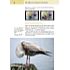 Markt+Technik Panasonic Lumix FZ300 – Das Kamerabuch (PDF-E-Book)