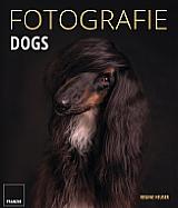 Fotografie – Dogs