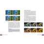 Bildner Sony Alpha 7R VI – Das umfangreiche Praxisbuch zu Ihrer Kamera (PDF-E-Book)