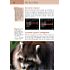Markt+Technik Sony RX100 III – Das Handbuch (PDF-E-Book)