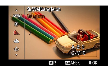 Standbild aus dem Schulungsvideo 'Fotografieren mit der Sony Alpha 6700' mit Michael Nagel - Kapitel 2 - Einfacher Einstieg. [Foto: MediaNord]