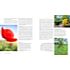 Rheinwerk Naturfotografie – Die große Fotoschule