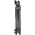 Manfrotto MK290LTA3-BH 290 Light Alu-Stativ mit 3 Beinsegmenten u. 494RC2 Kugelkopf