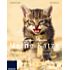 Franzis Meine Katze (PDF-E-Book)