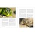 Rheinwerk Die große Fotoschule – Makrofotografie, 3. Auflage