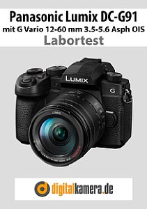 Panasonic Lumix DC-G91 mit G Vario 12-60 mm 3.5-5.6 Asph. Power OIS Labortest, Seite 1 [Foto: MediaNord]