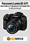 Panasonic Lumix DC-G91 mit G Vario 12-60 mm 3.5-5.6 Asph Power OIS (H-FS12060E-K) Labortest (Labortest-Protokoll)