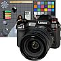 Panasonic Lumix DC-S1R mit S 24-105 mm F4 Makro OIS (S-R24105E) Testbilder