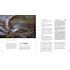 Franzis Fotografie – Lost Places (PDF-E-Book)