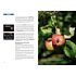 Point of Sale Lumix G81 – System Fotoschule (gedrucktes Buch)