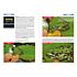 Point of Sale Lumix FZ1000 – Superzoom Fotoschule (PDF-E-Book)