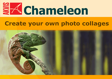Bild Altes Chameleon Logo [Foto: Chameleon]