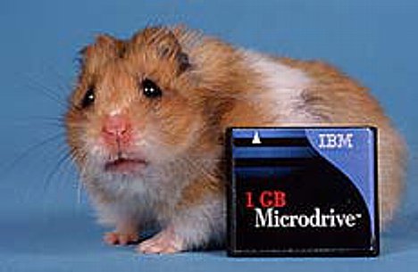 Bild IBM Microdrive [Foto: IBM] [Foto: Foto: IBM]